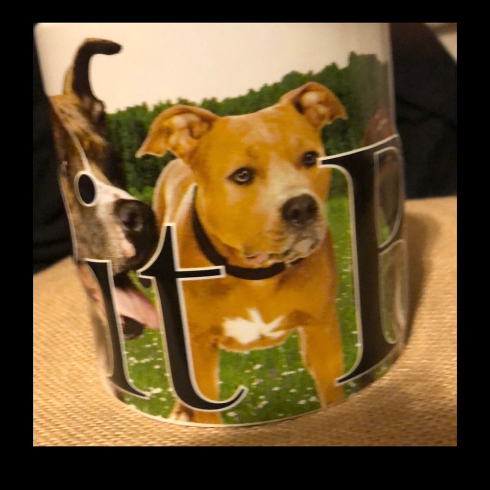 Pit Bull Mug